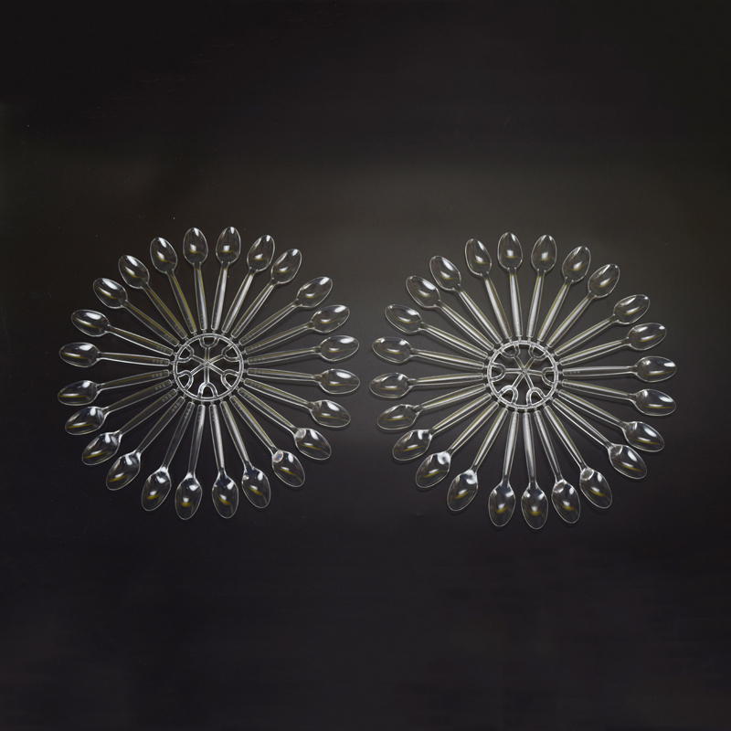 Disposable plastic transparent spoon mould Disposable plastic transparent spoon mould