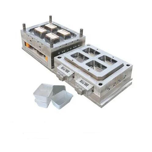 Fresh Box Mould