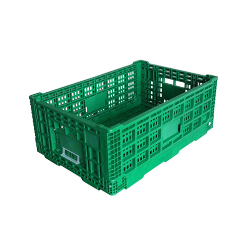 Food Turnover Box Mold
