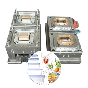 Fresh Box Mould